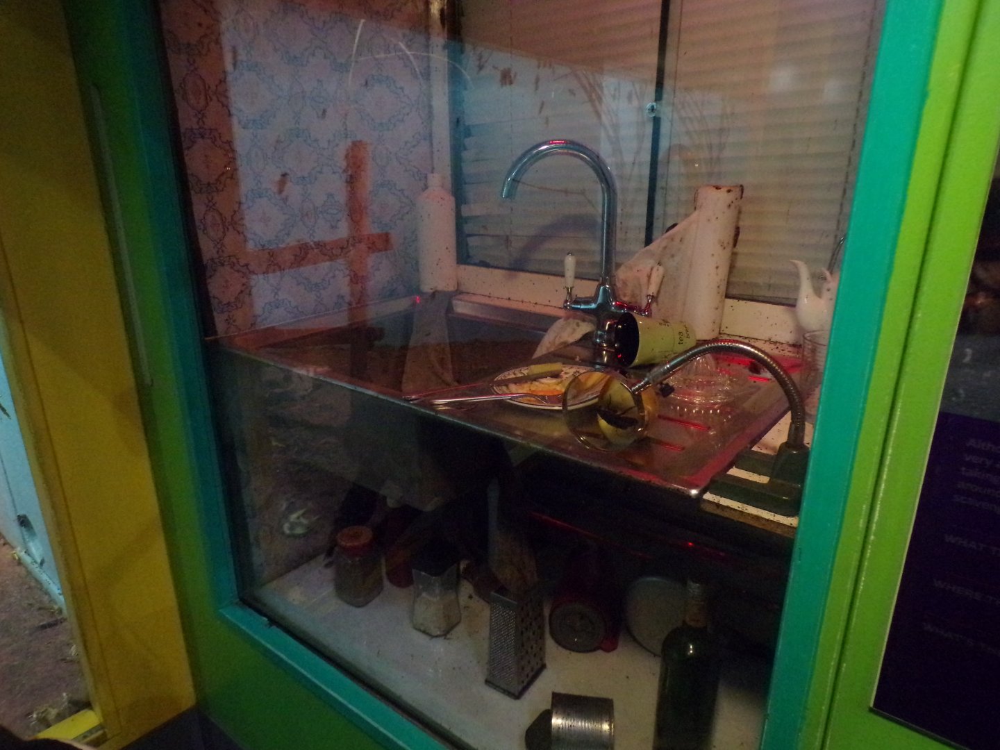 Themed domestic cockroach enclosure 11.2.25