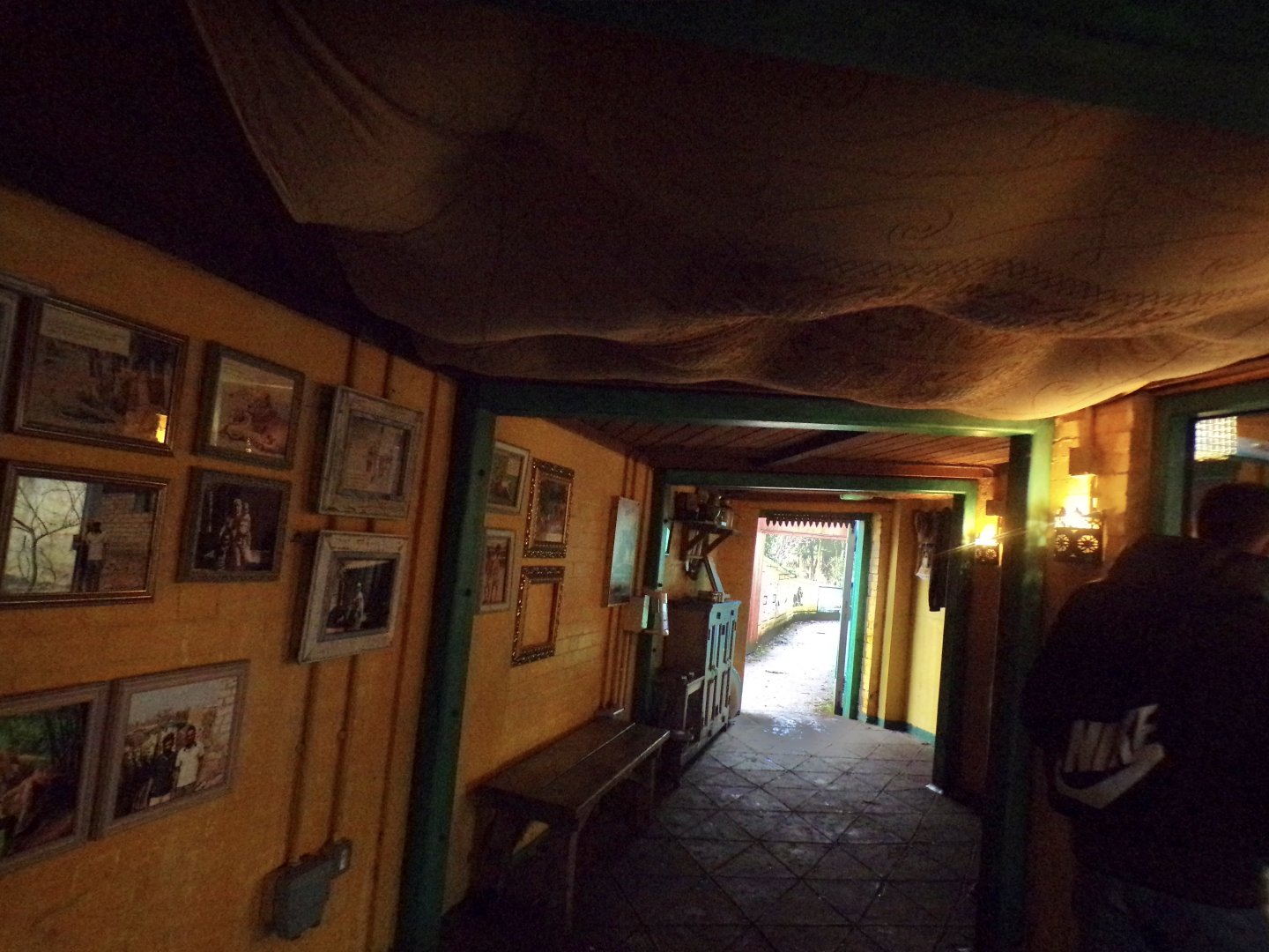 Themed lion viewing area 11.2.25