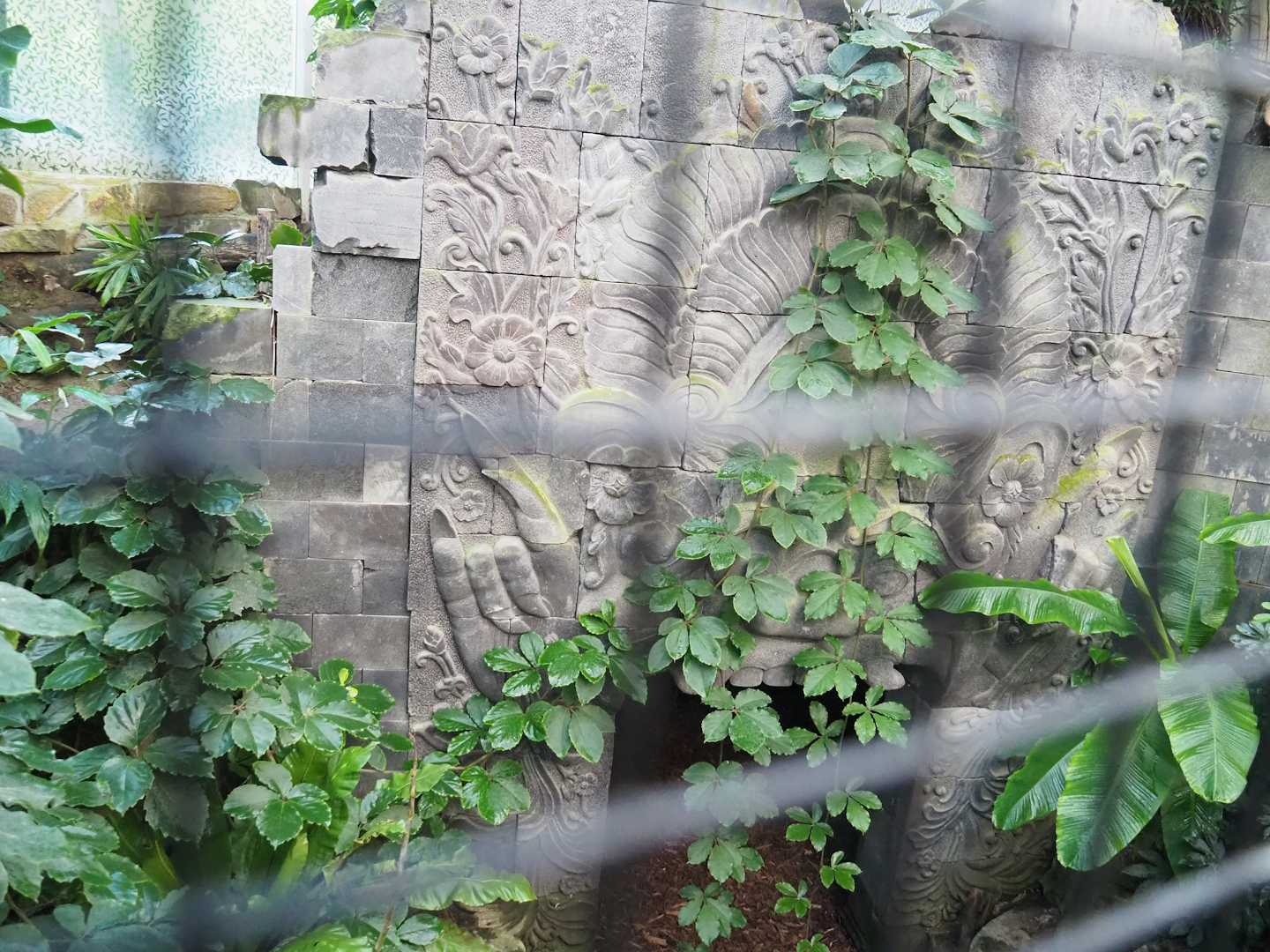 Themed shelter in Wrinkled hornbill, Sclater's crowned pigeon and Common hill myna indoor aviary, 2022-10-19