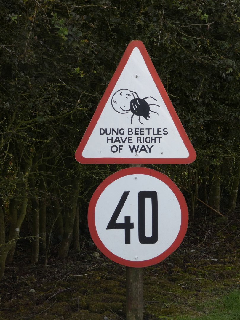 Themed signage in Kifaru Reserve (2)