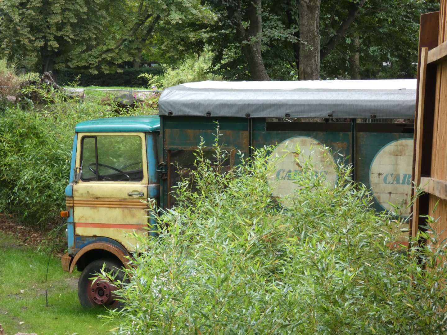 Themed viewing area in new South America exhibit