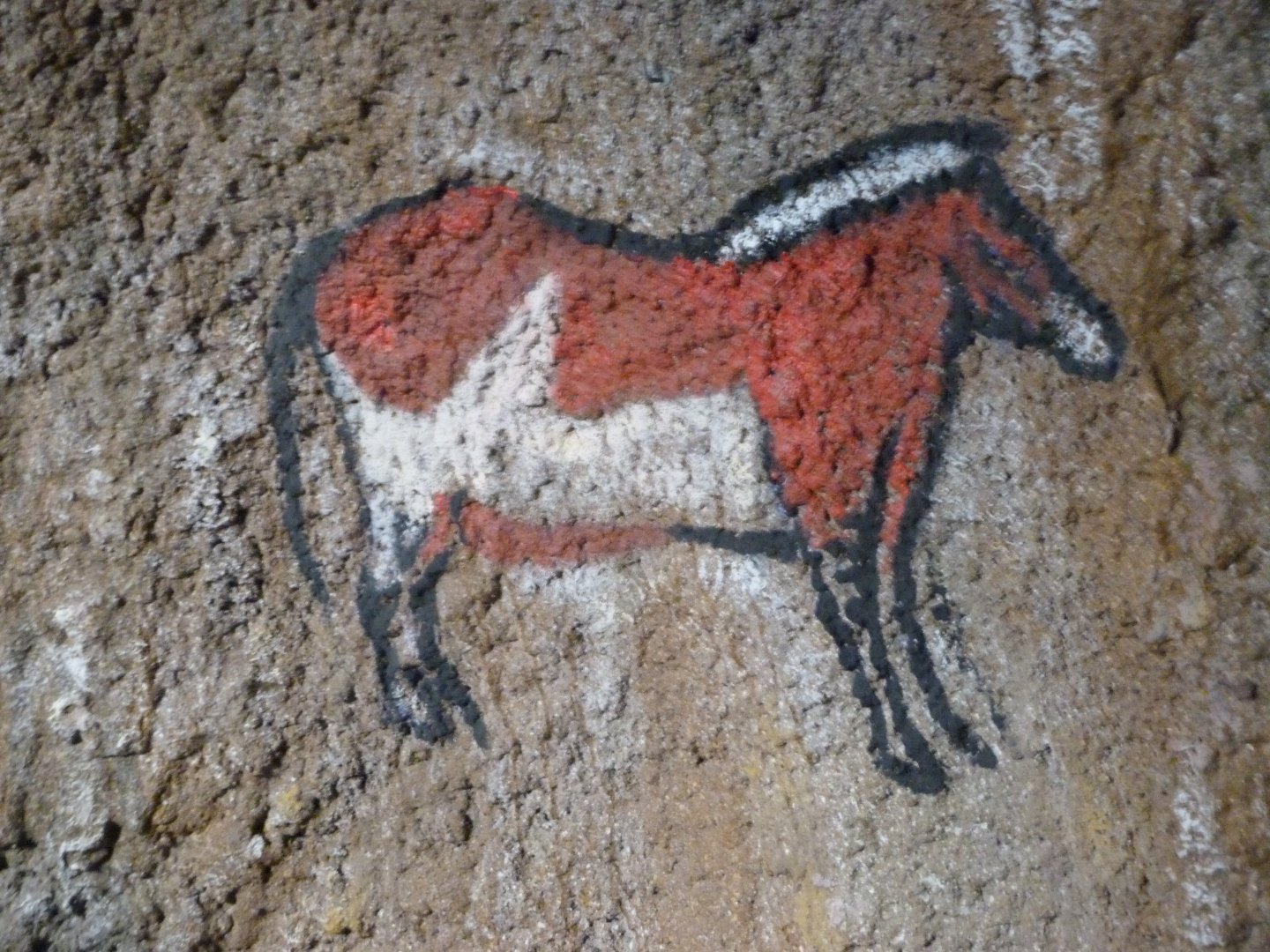 Themeing -Faunia (2025)