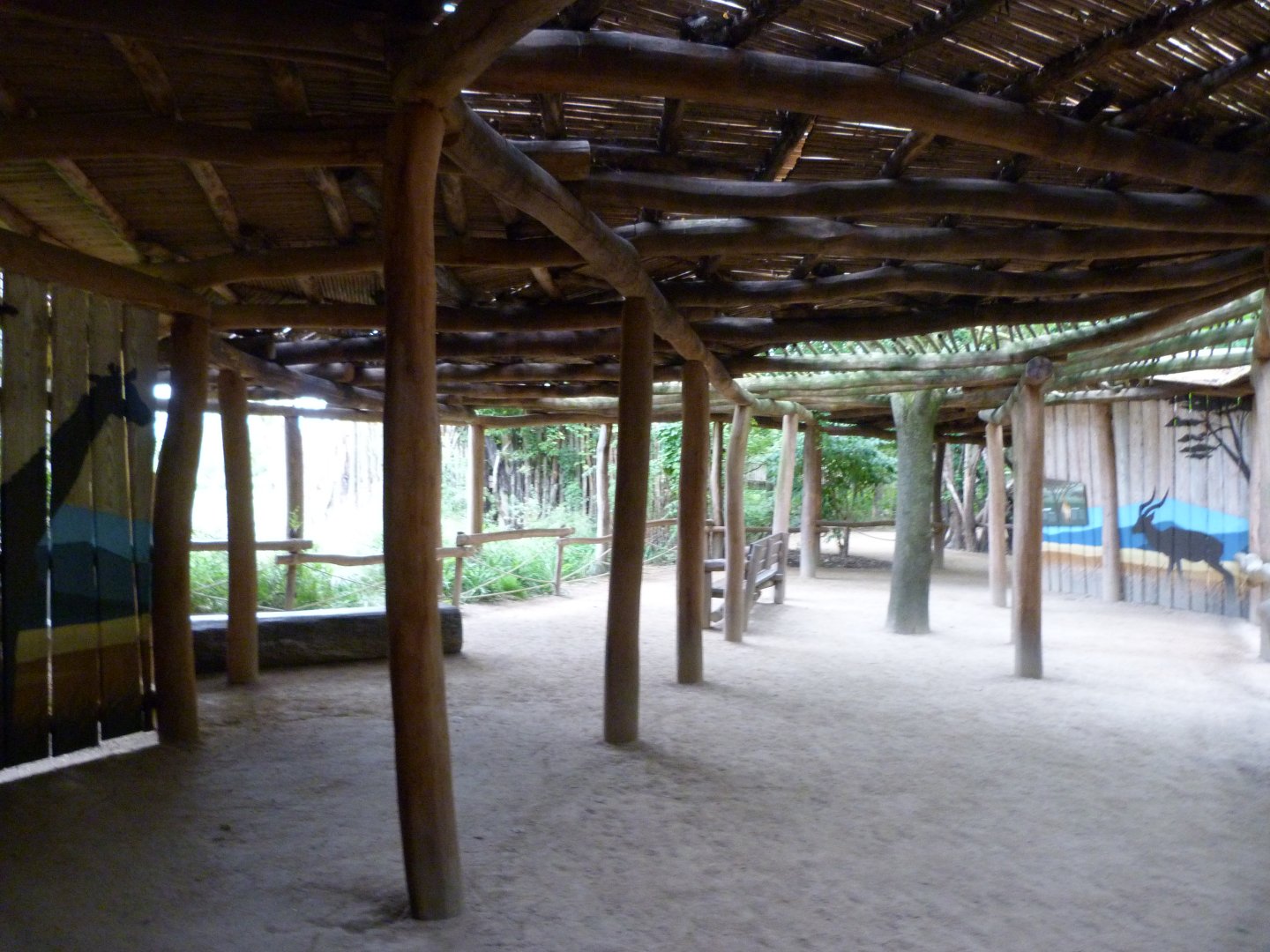 Themeing in the new "Giraffe Trail" -Tierpark Berlin (2024)