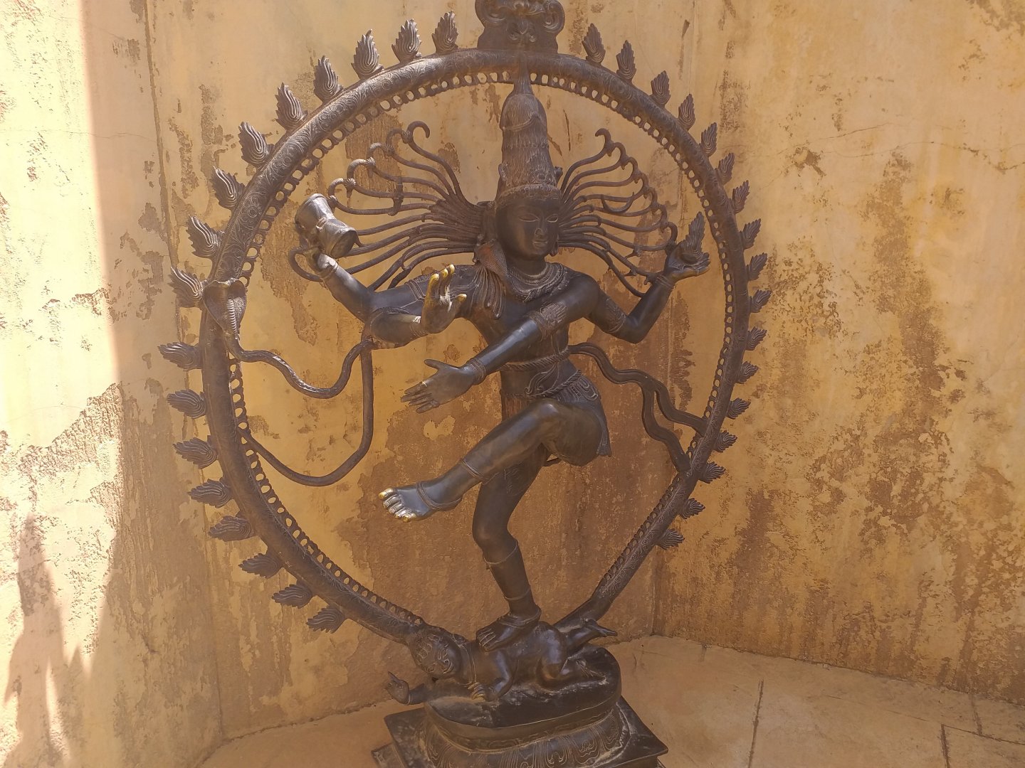 Themeing -TerraNatura Benidorm (2021)