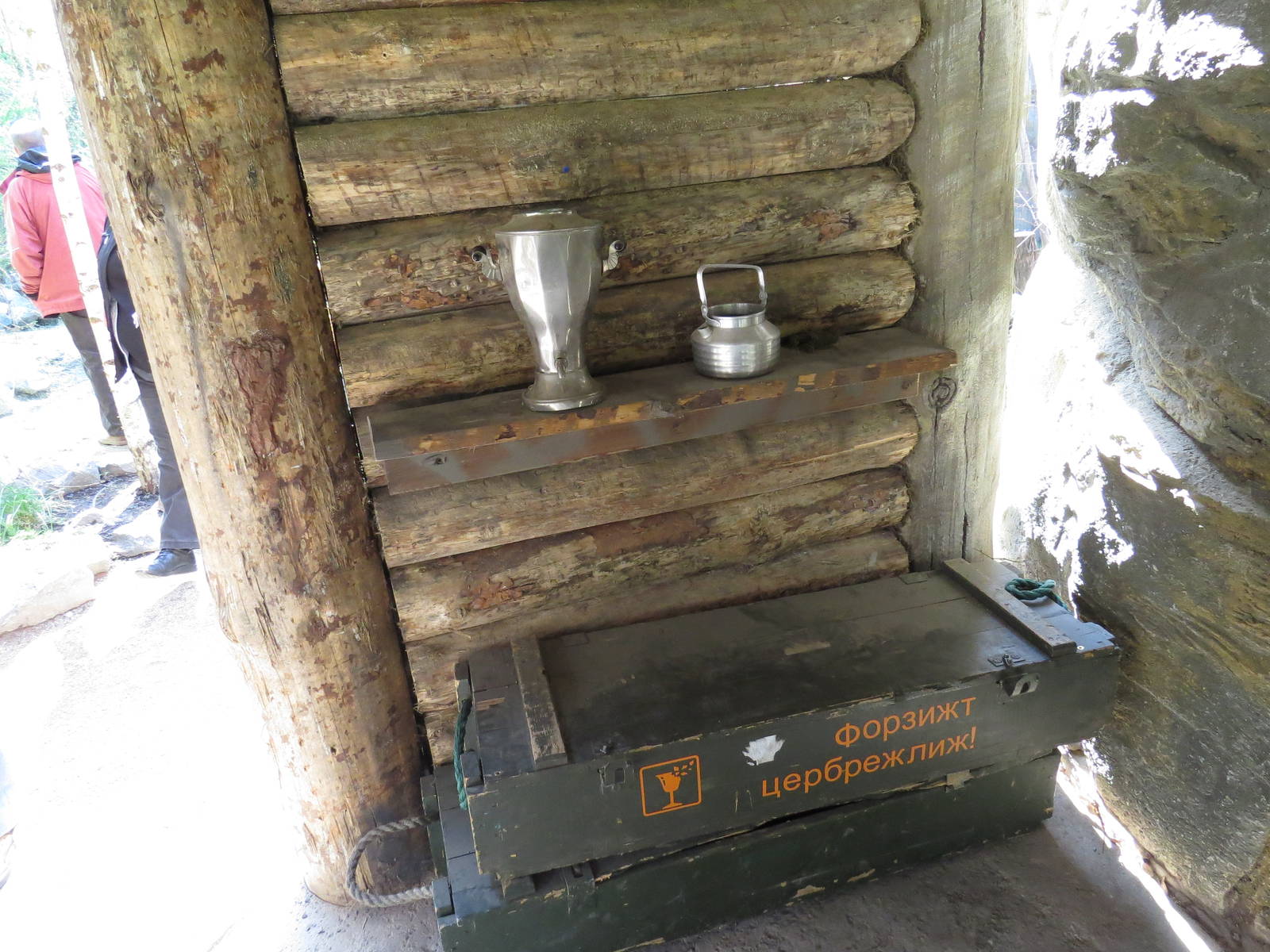 Theming for leopard exhibit, April 2014.