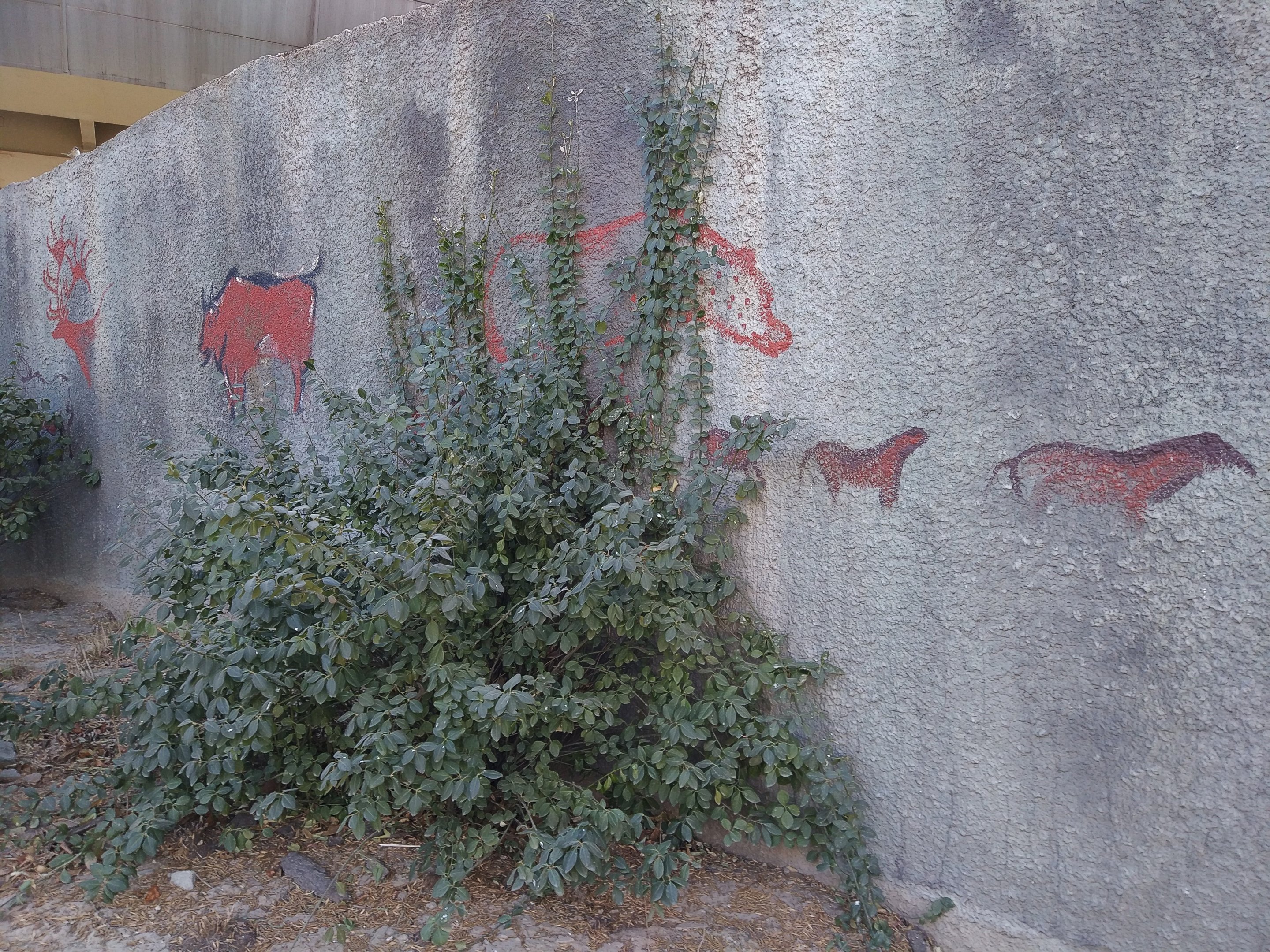 Theming in Bear Complex