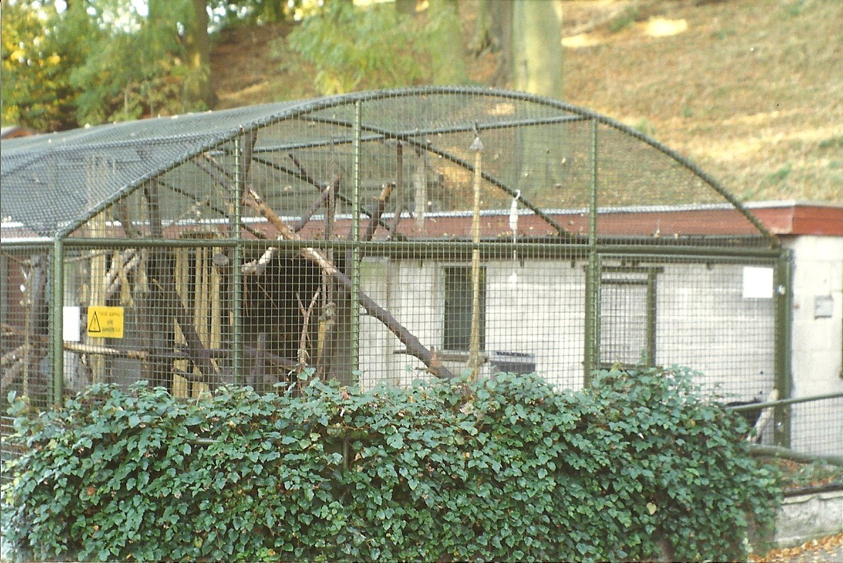 Then a primate cage 31st October 1997