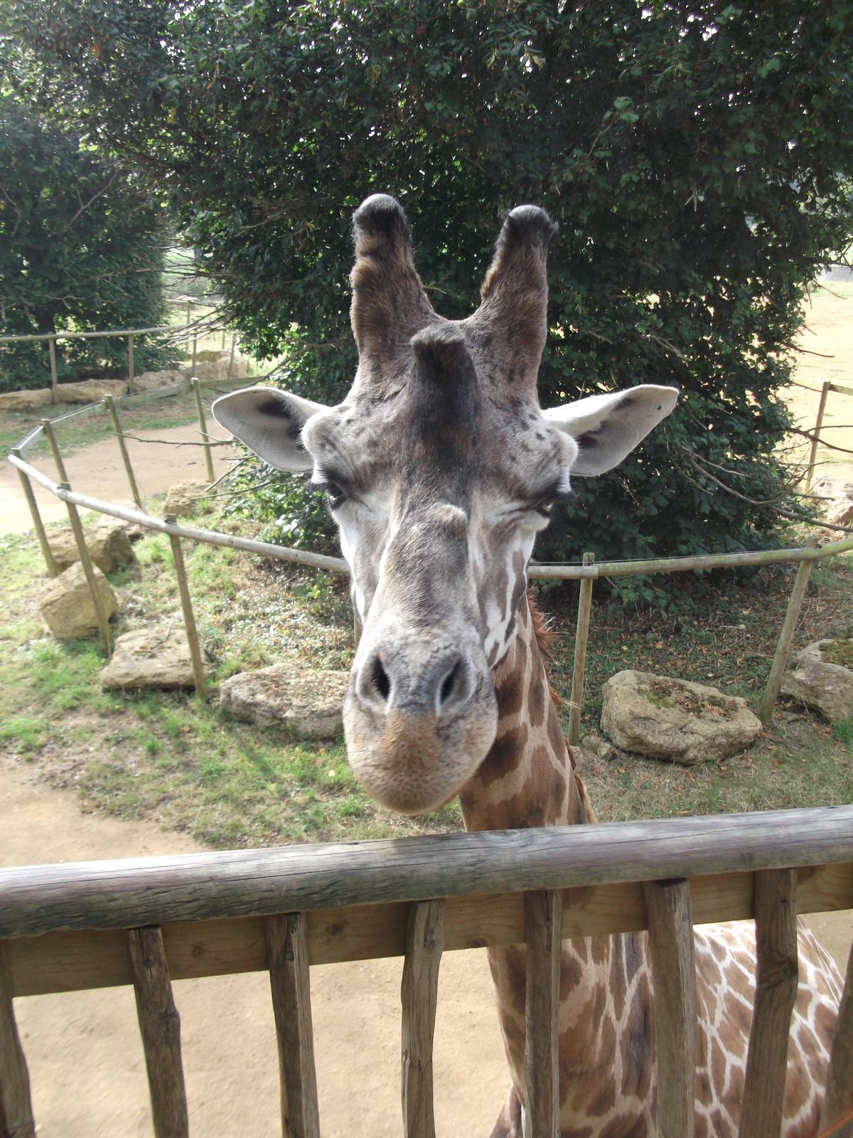 There`s a view you don`t see that often