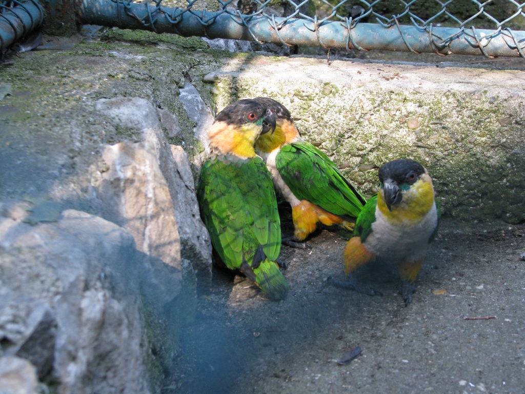 There Was Something Very Interesting In The Corner