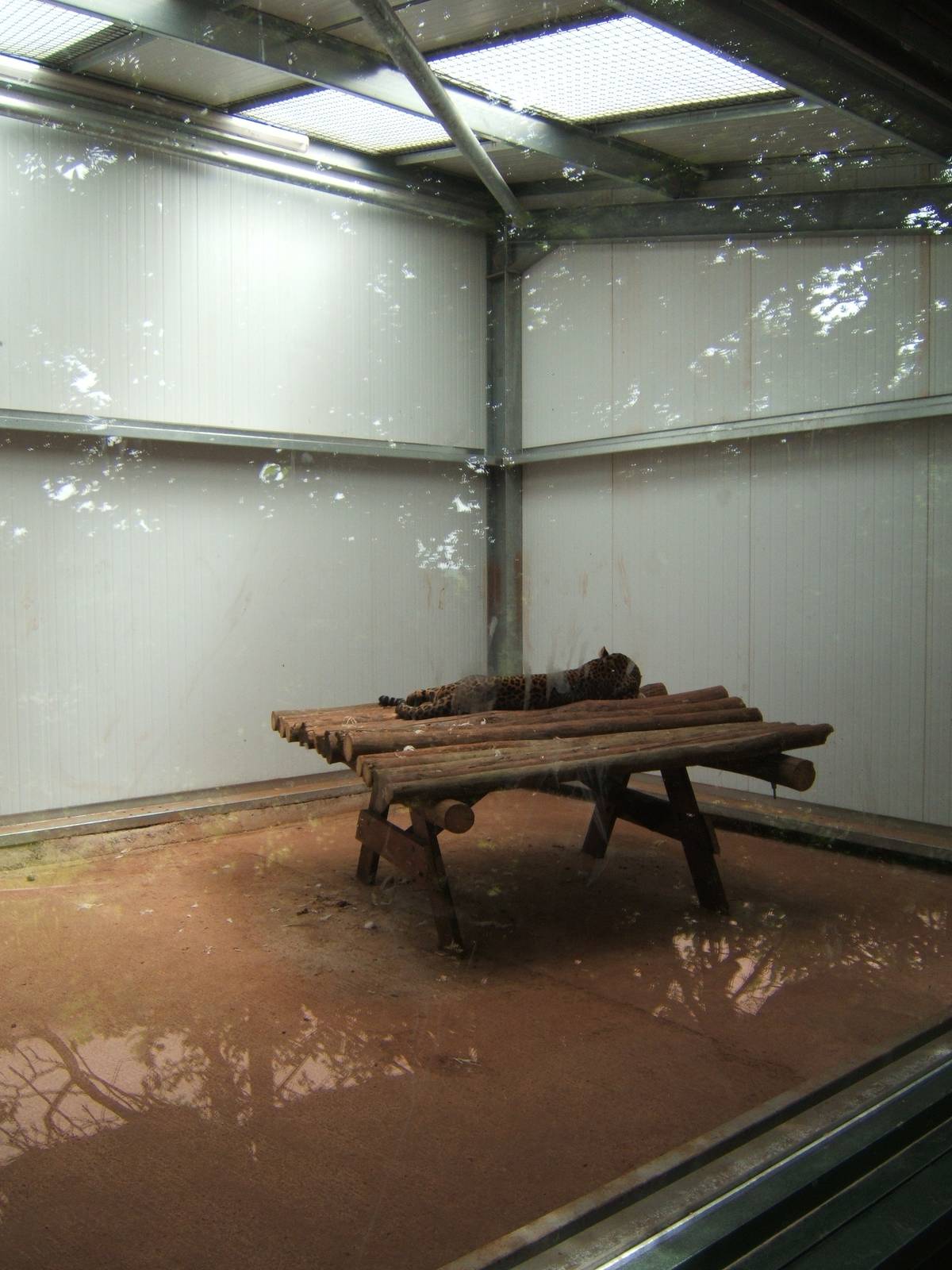 These picture shows of all the furniture that is in the inside House for th