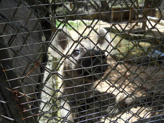 These two boys were very interested in company