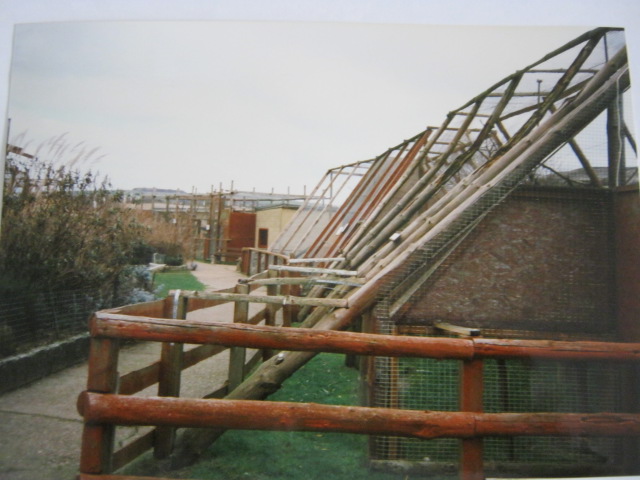 These were the old Lemur cages. 1998.
