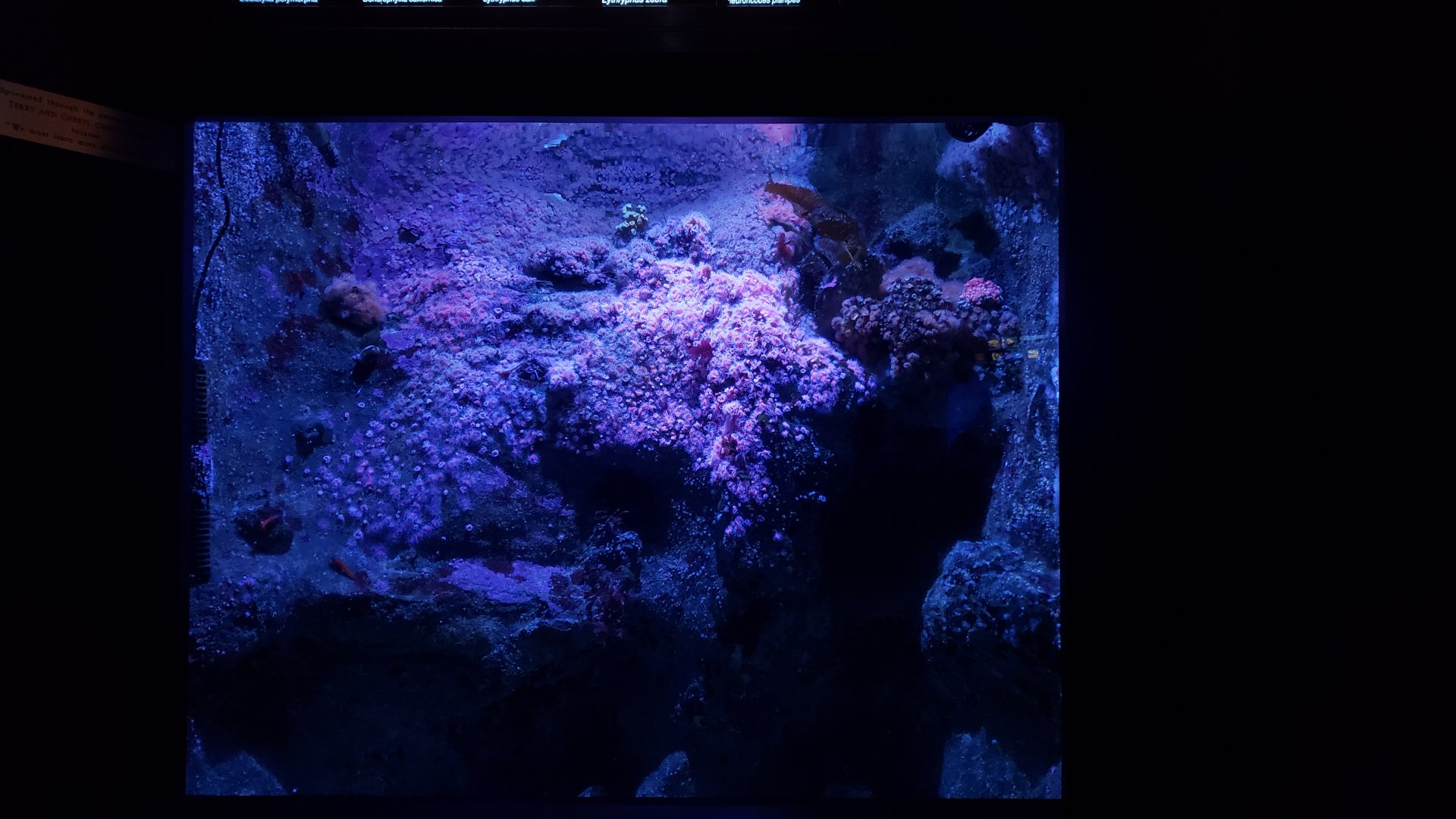 they have some amazing creatures in here