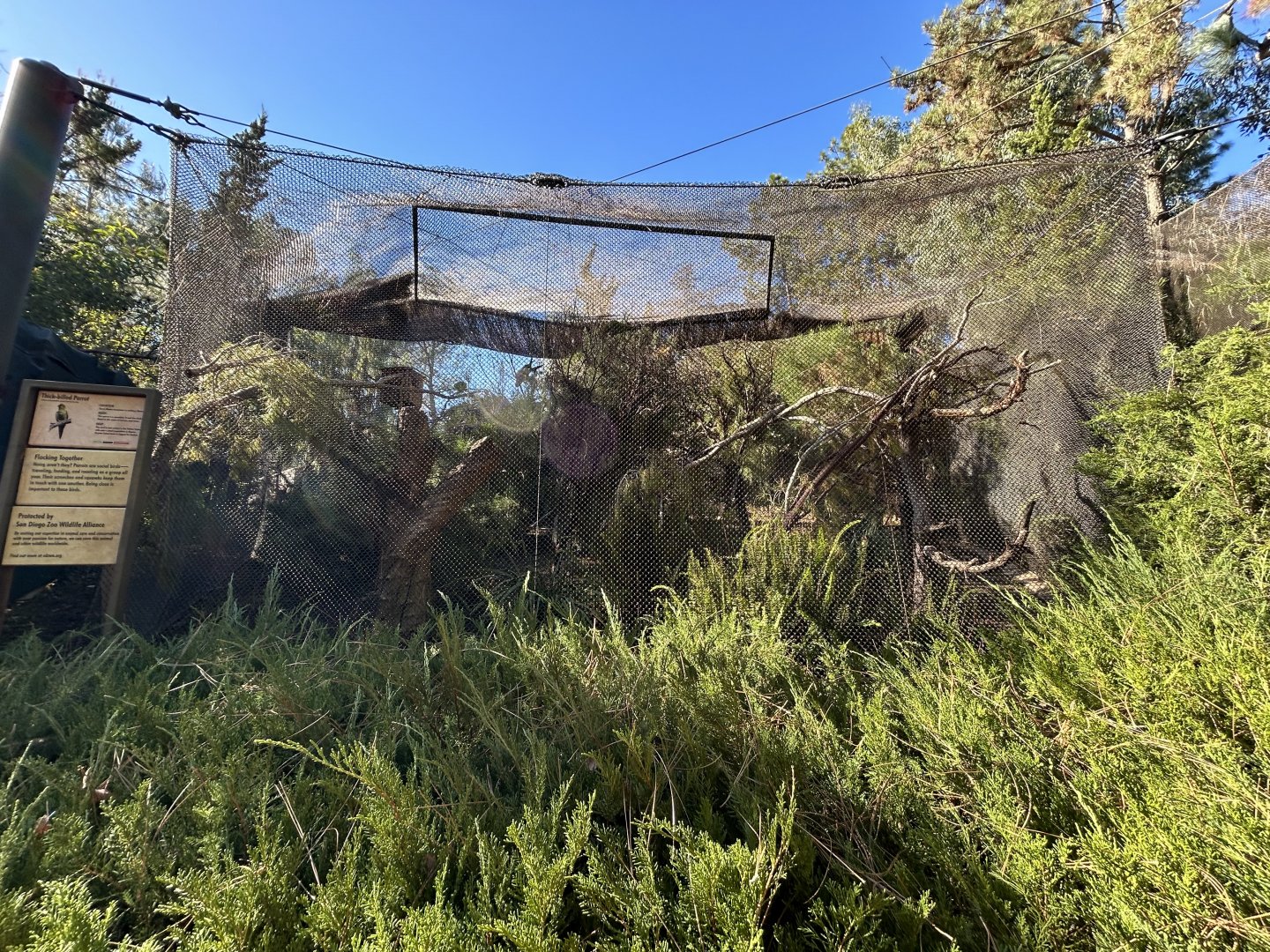 Thick-billed Parrot Aviary - Condor Ridge
