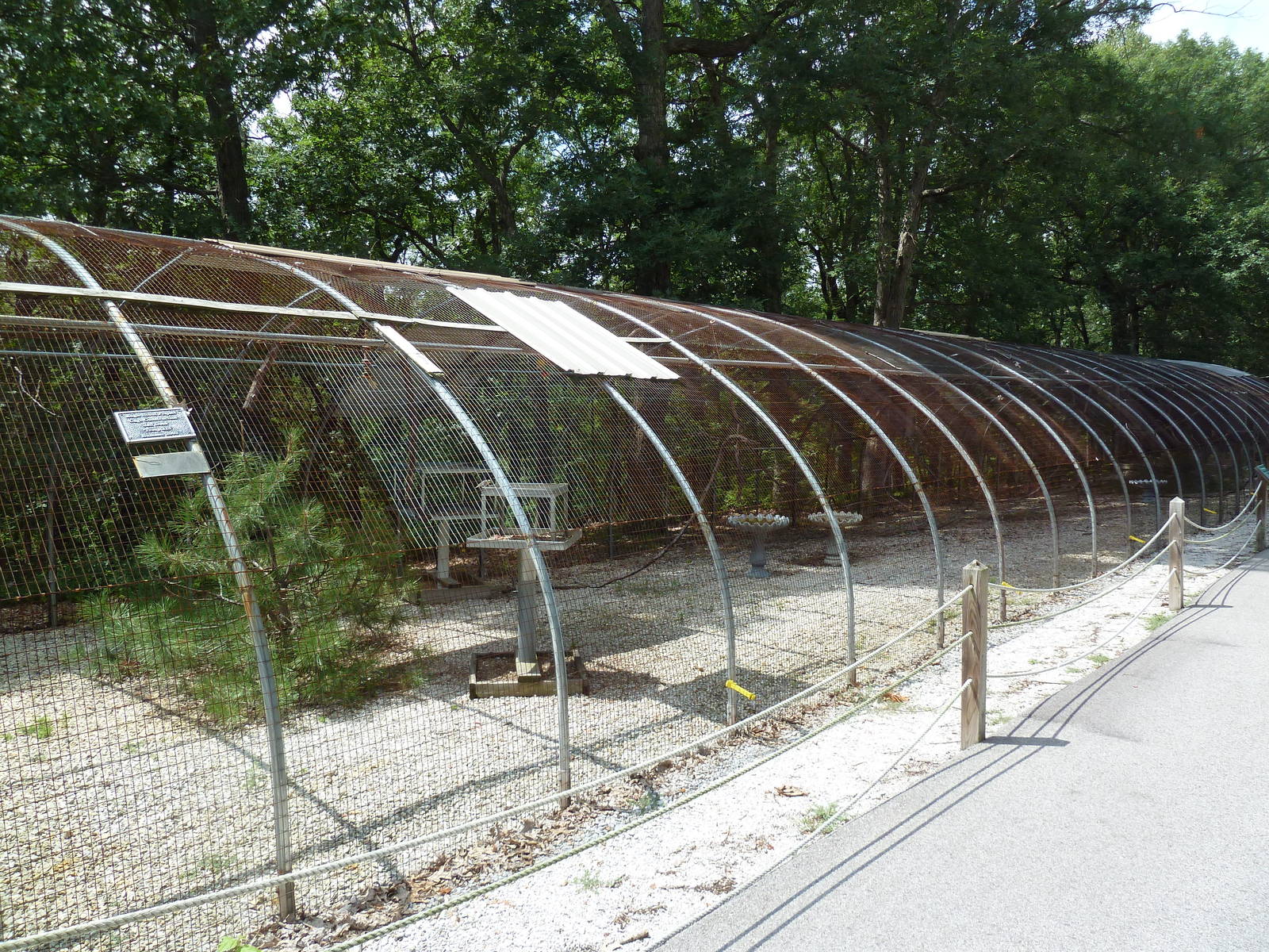 Thick-Billed Parrot Aviary