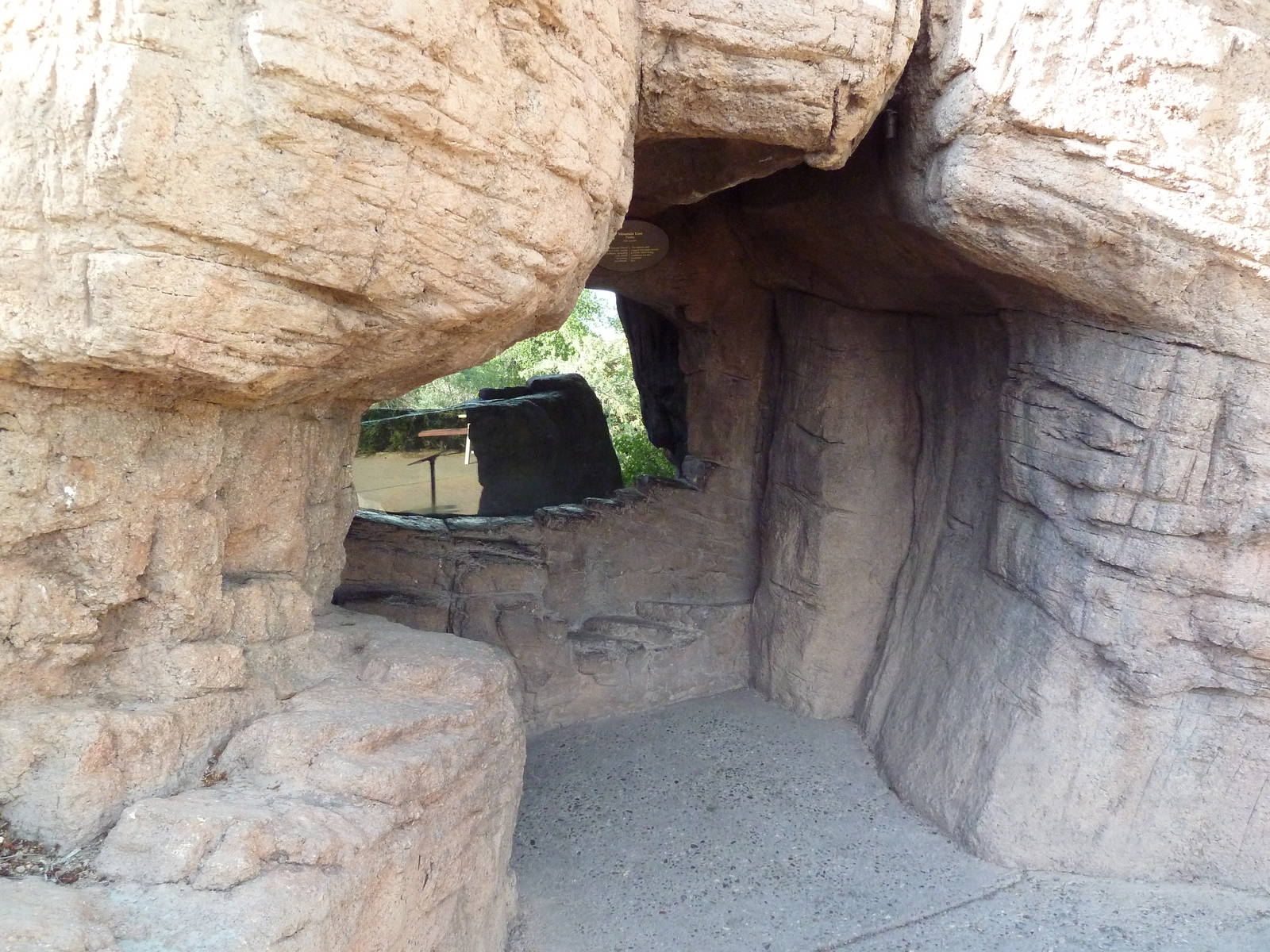 Thick-Billed Parrot Exhibit