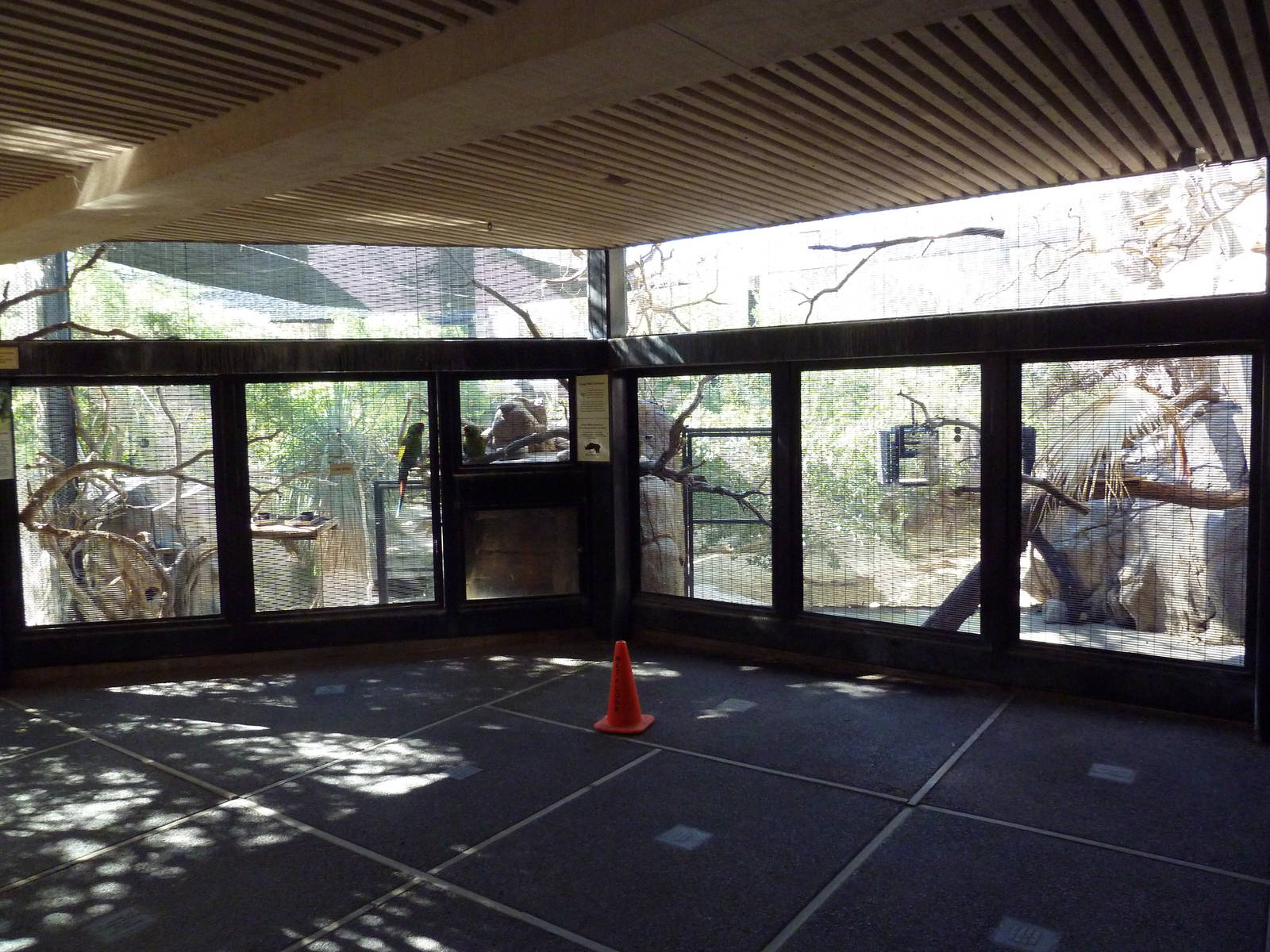 Thick-Billed Parrot + Mexican Military Macaw Exhibits
