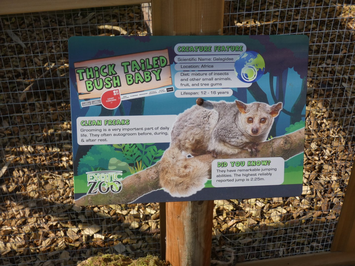 Thick-tailed Bushbaby signage