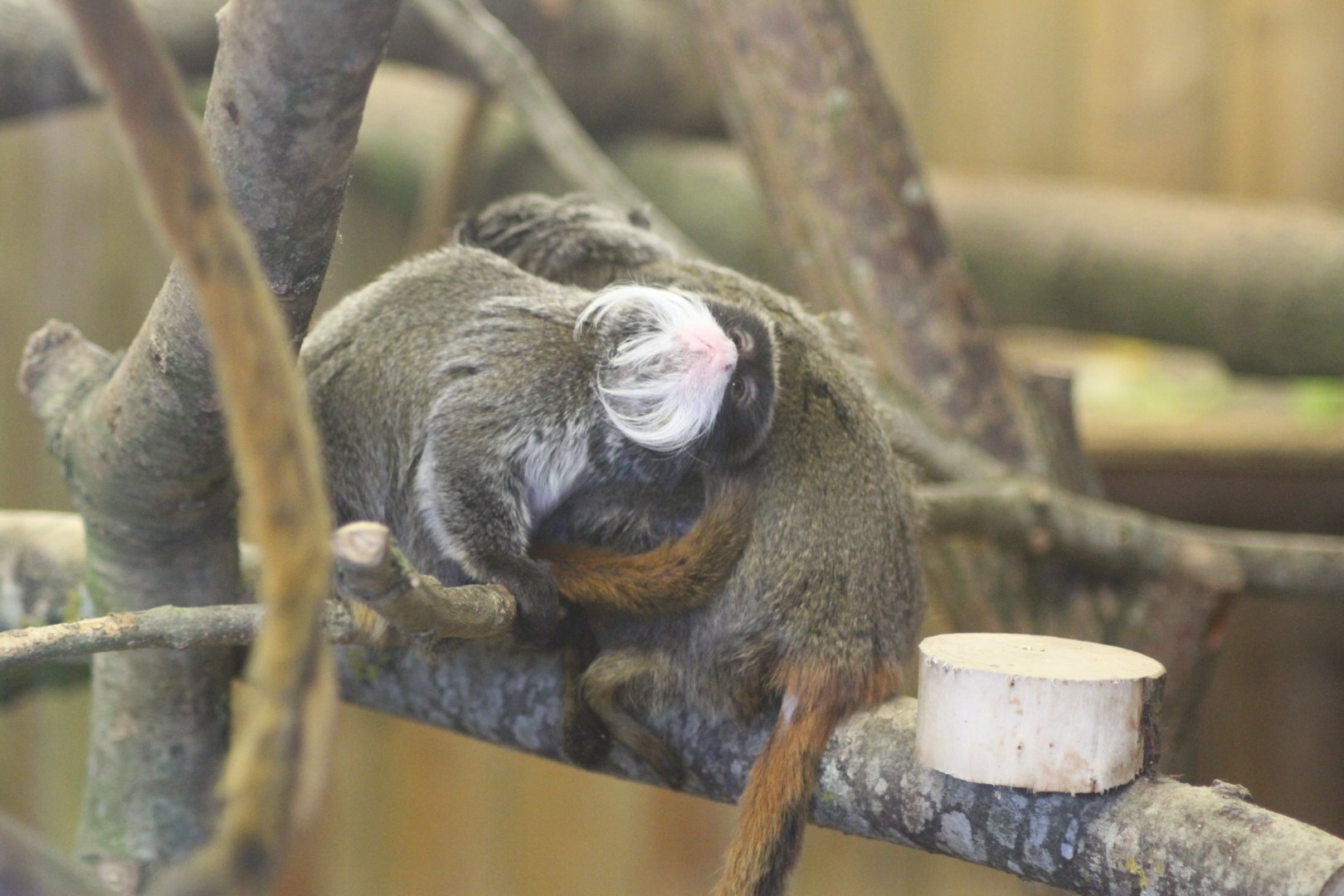 Things often look better sideways up