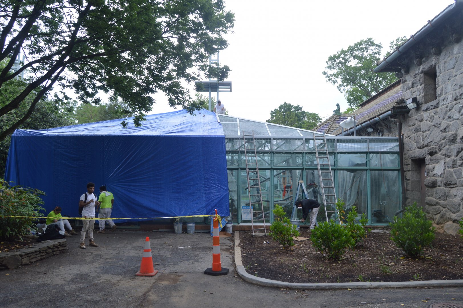 Think Tank - Renovation Work on Outdoor Exhibit