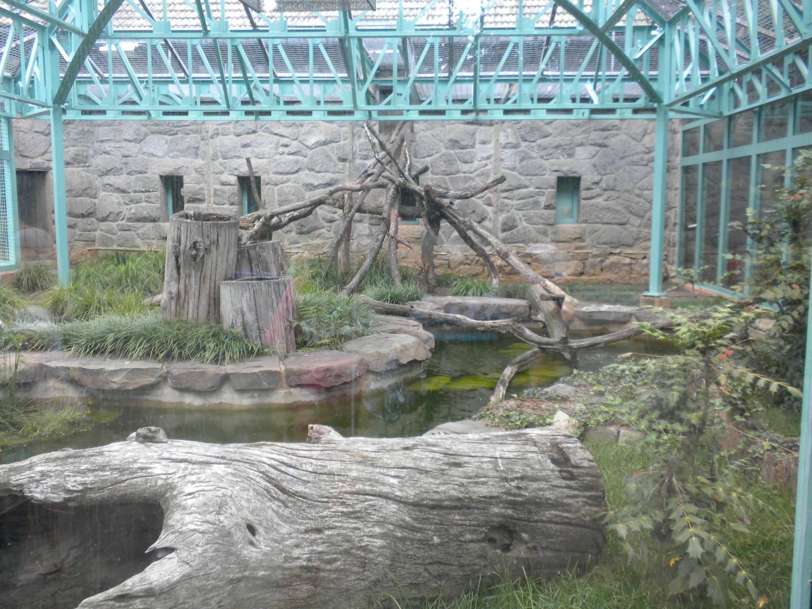 Think Tank - Sulawesi Macaque Exhibit