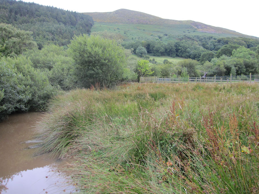 Think this may also be the Sitatunga enclosure