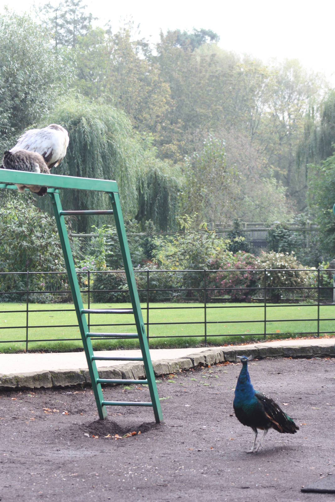 Thinking about it, 30th September 2014