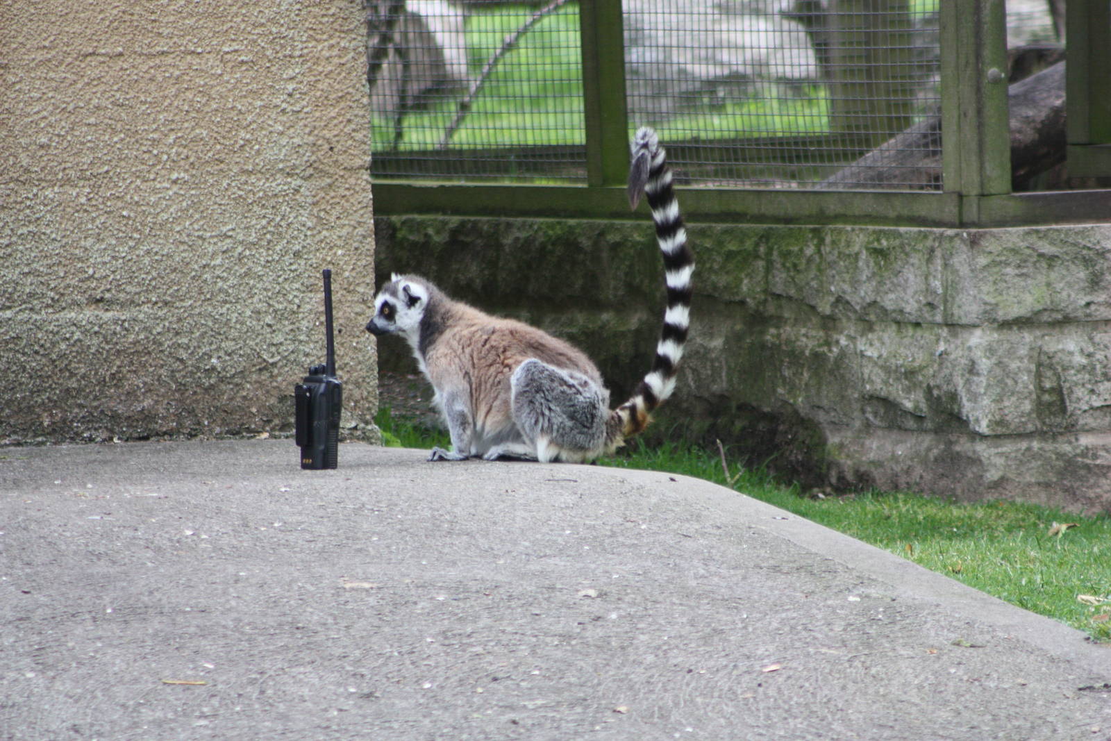 Thinking about making a call, 7th July 2014