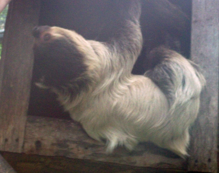 Thinking Outside the Box