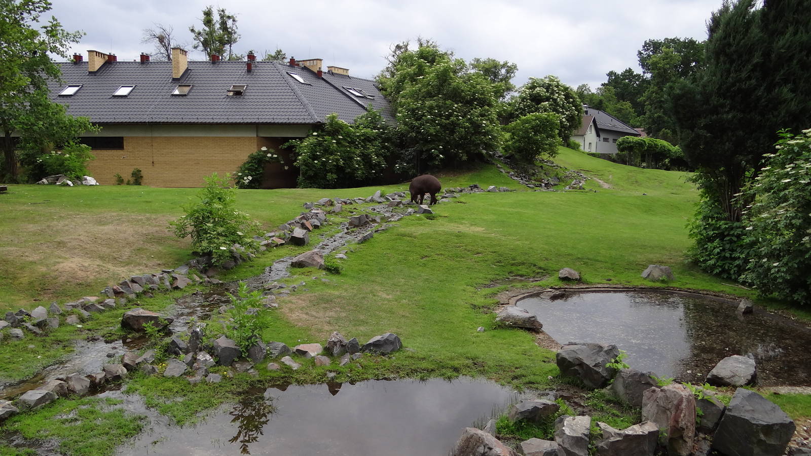 Third and biggest South America paddock