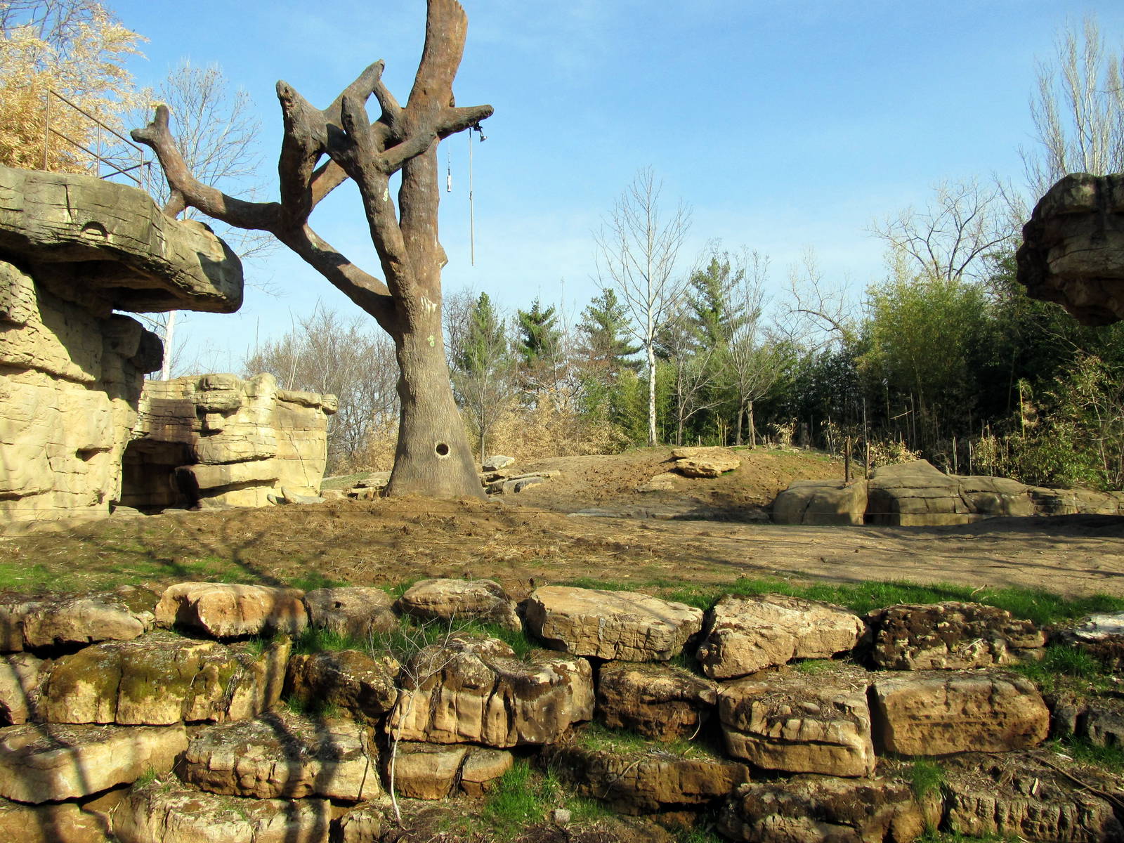 Third Asian Elephant Exhibit