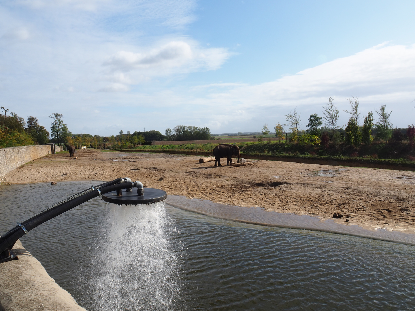 Third Asian elephant paddock, 2019-10-04