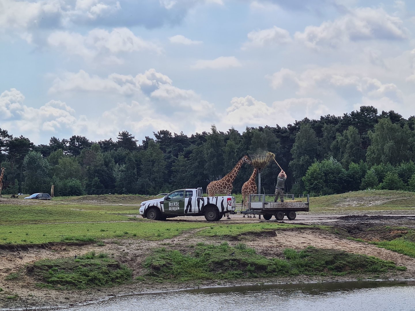 Third Big Savannah paddock