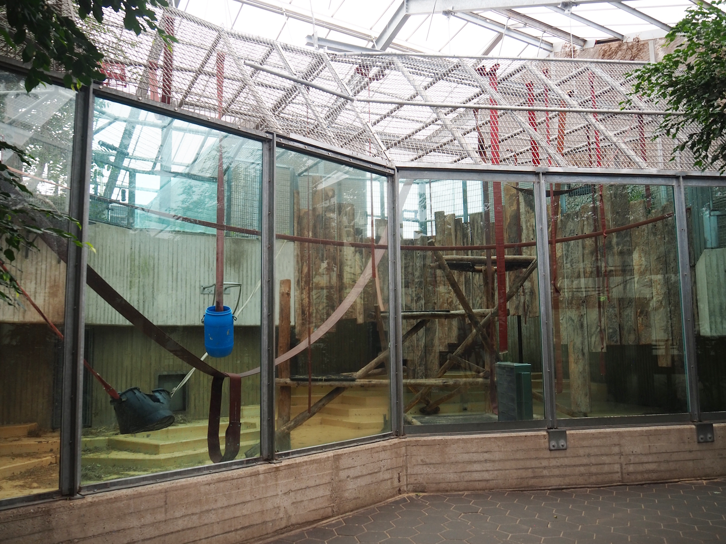 Third Bornean orangutan indoor exhibit, 2023-08-17