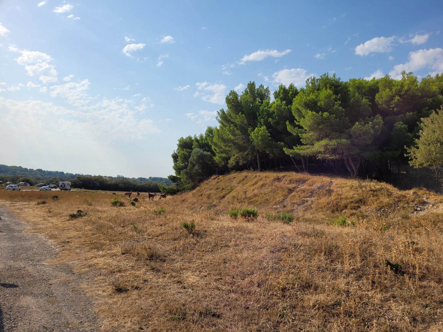 Third Brousse exhibit -Réserve Africaine de Sigean (2022)