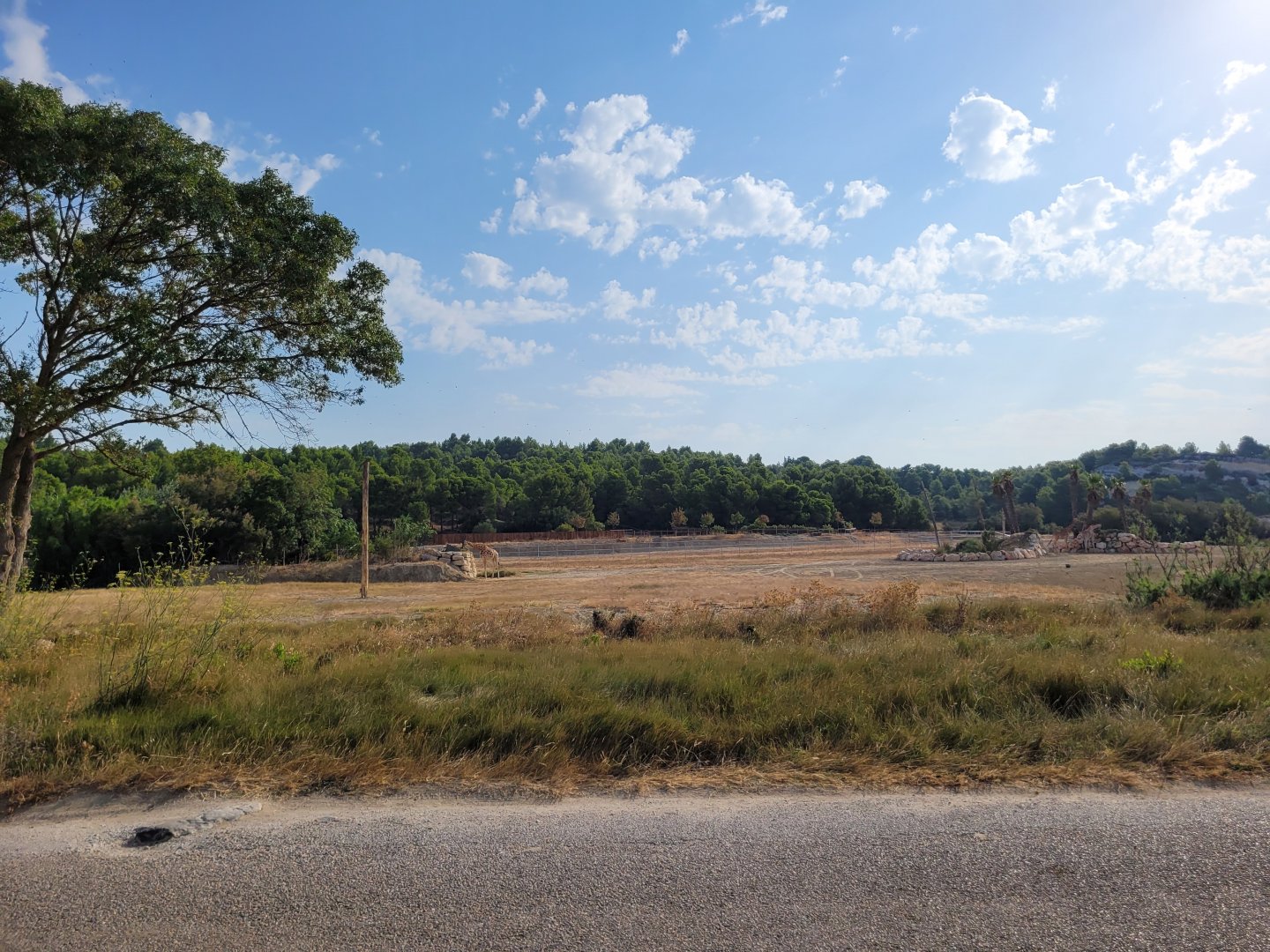 Third Brousse exhibit -Réserve Africaine de Sigean (2022)