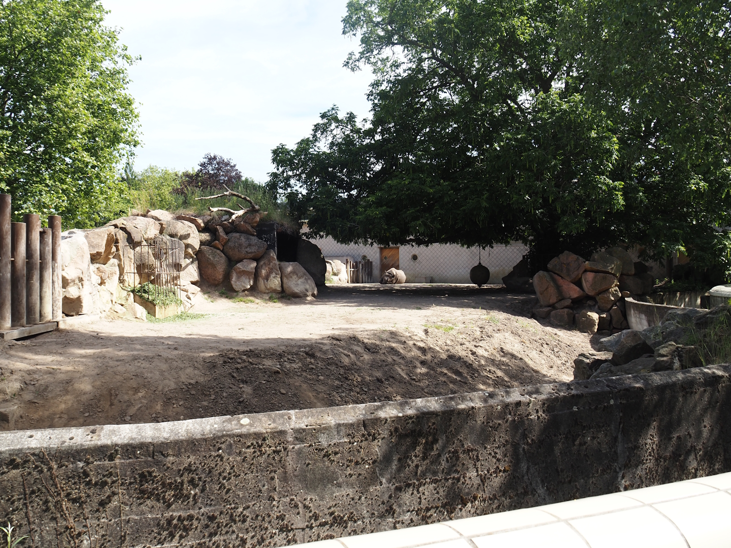 Third Eastern black rhinoceros paddock, 2024-06-30