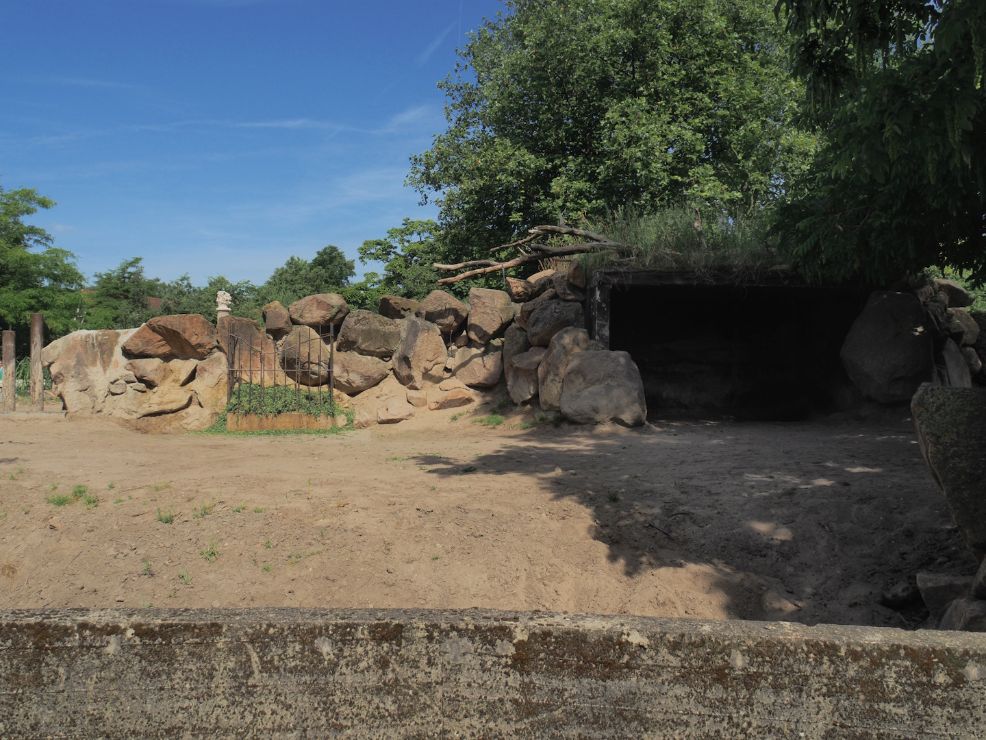 Third Eastern black rhinoceros paddock, 2024-06-30