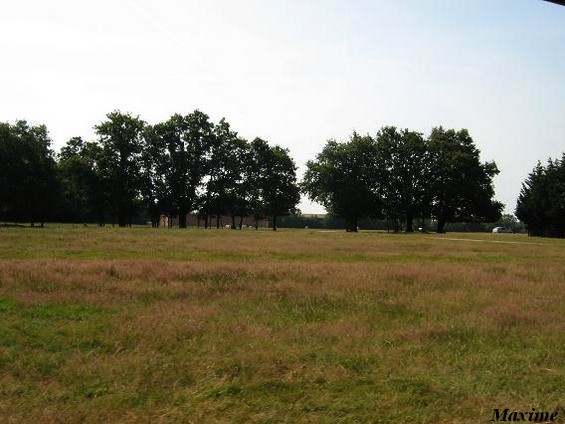 Third exhibit (Cars-Part) : African Plains 2 (Springboks...)