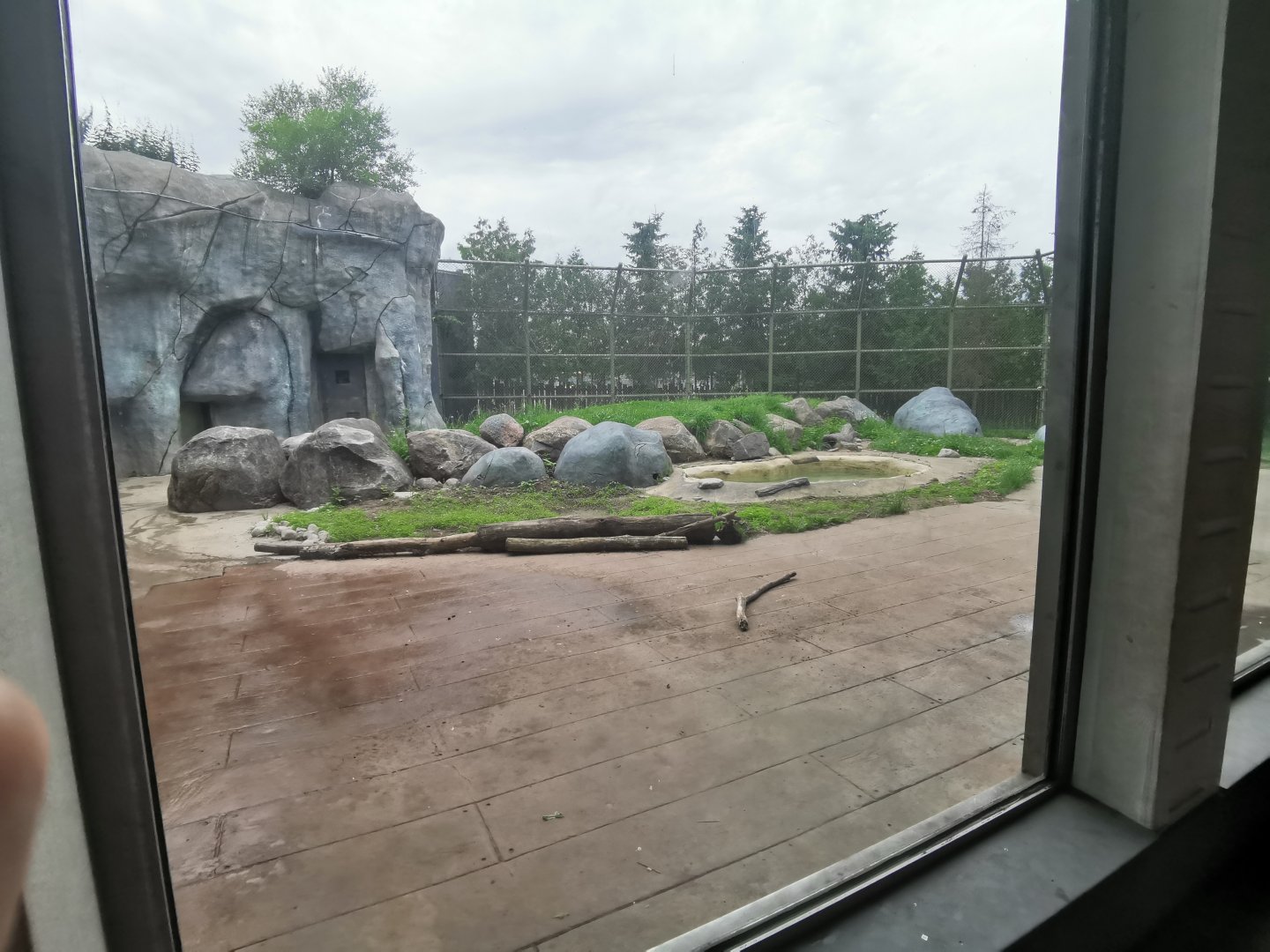 Third exhibit for the polar bear