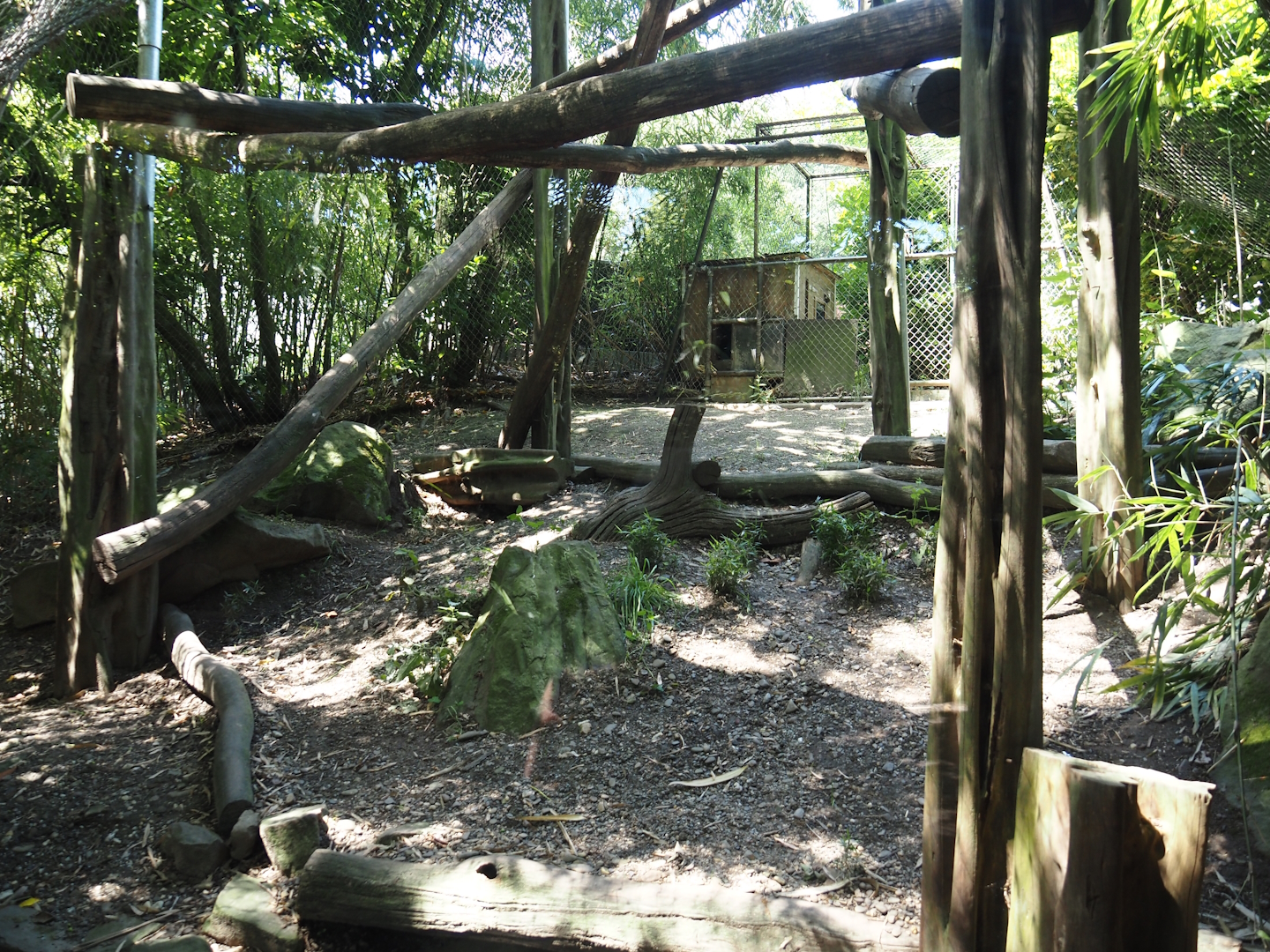 Third fossa area, 2024-06-08