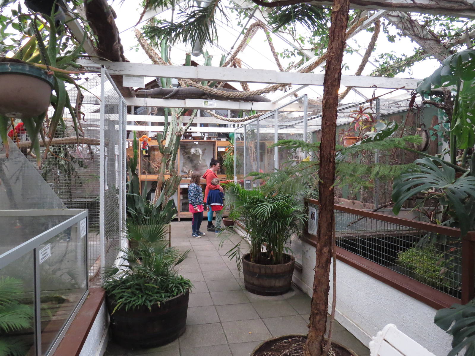 Third gallery, June 2015