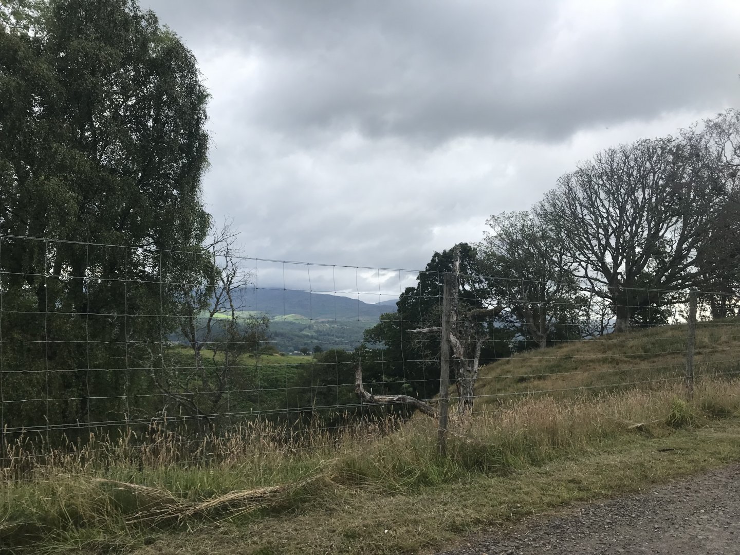 Third goat enclosure