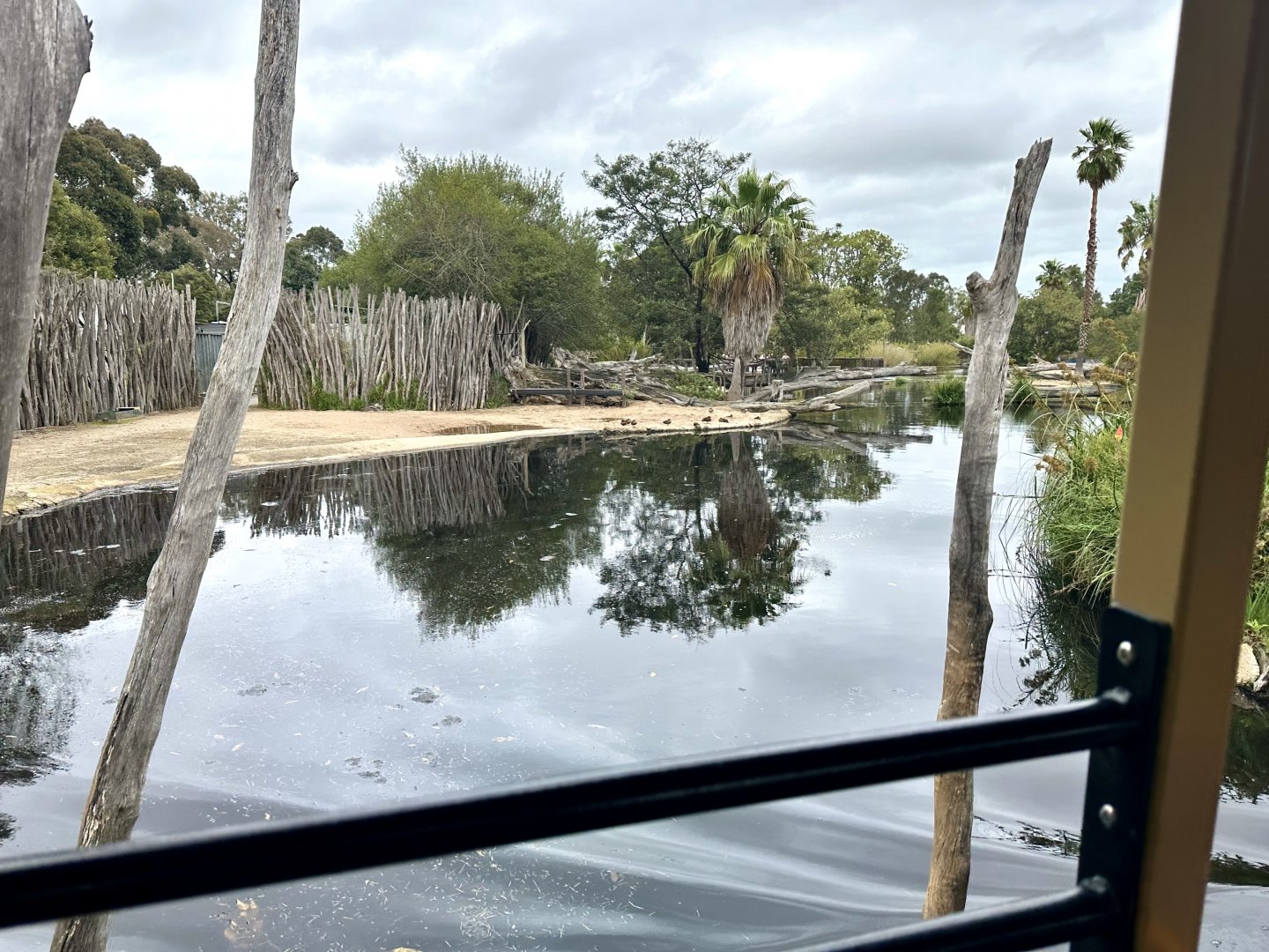 Third Hippopotamus Exhibit