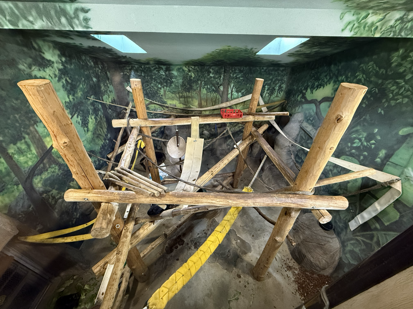 Third Indoor Habitat - Primate Forest
