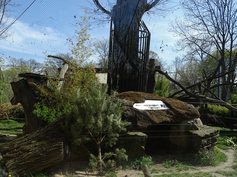 Third leopard enclosure
