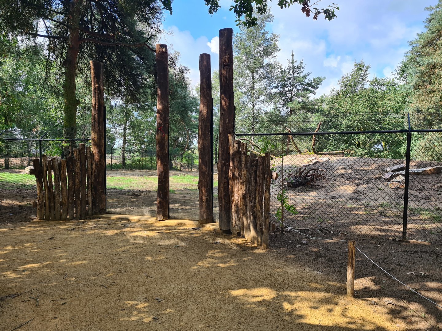 Third New Cheetah enclosure viewing