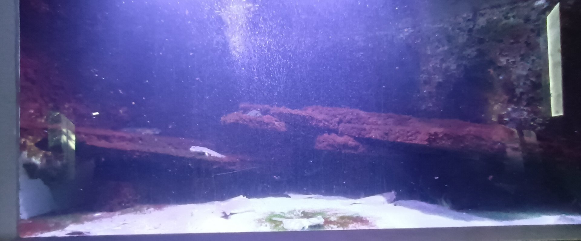 Third North east Atlantic and North Sea Tank