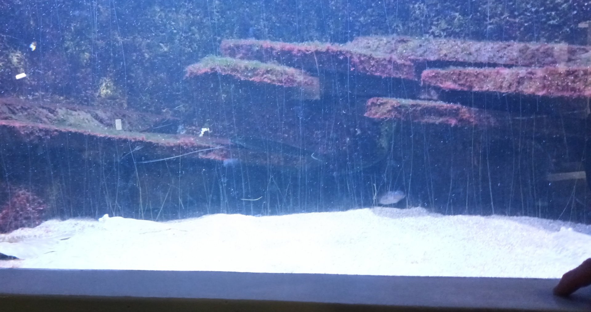 Third north Sea and north east Atlantic Tank