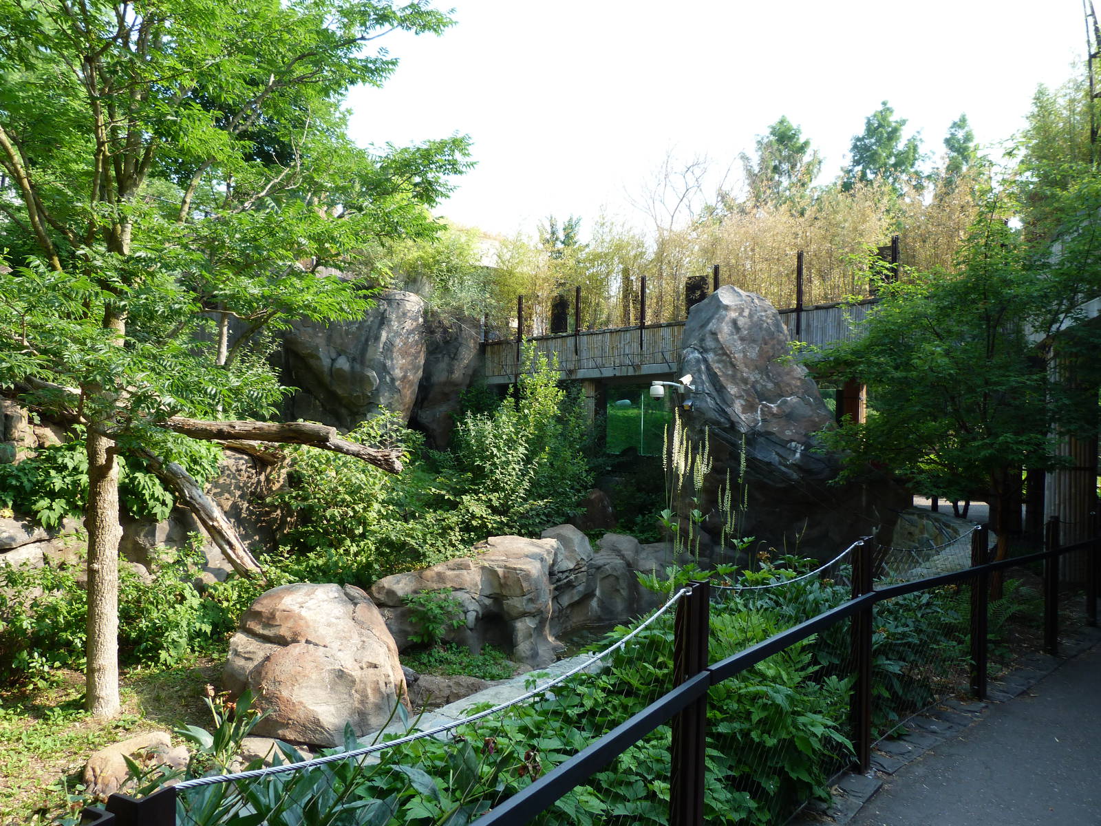 Third Panda Exhibit